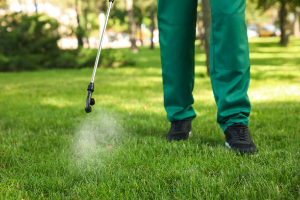 Best Bed Bug Extermination  in Stockdale, TX