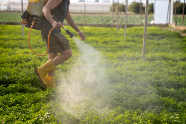 Best Wildlife Control Services  in Stockdale, TX