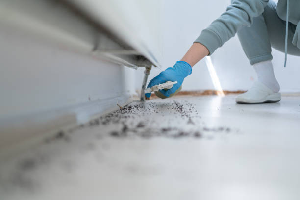 Best Cockroach Control Services  in Stockdale, TX