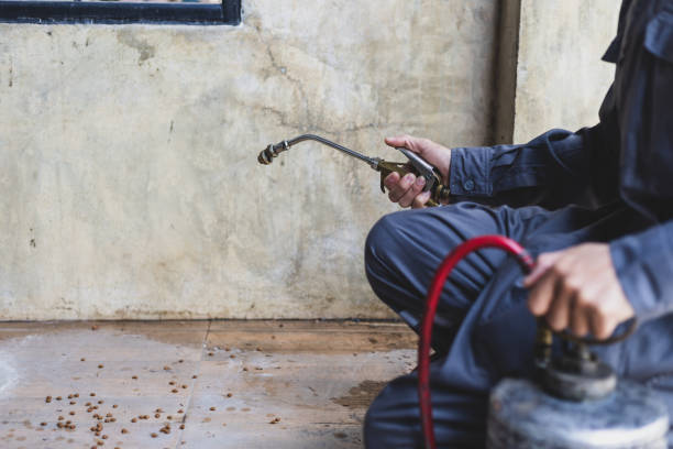 Best Rat Extermination Near Me  in Stockdale, TX